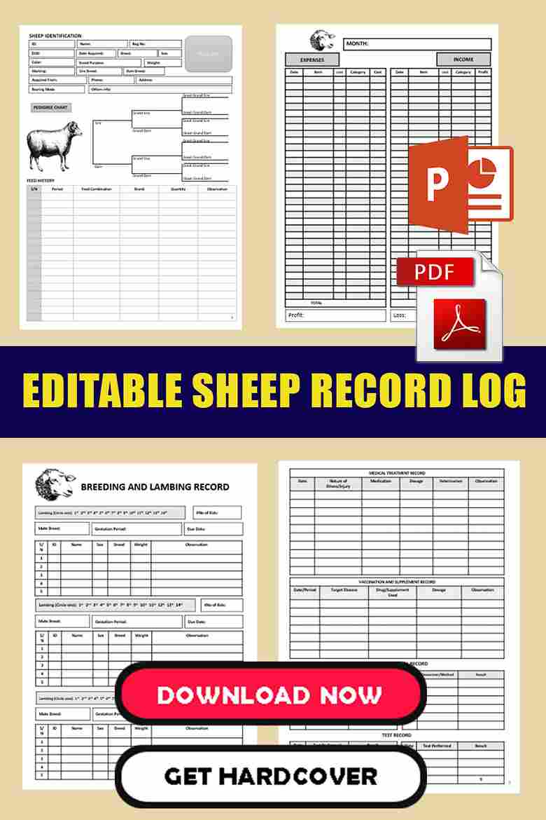 Sheep Record Keeping Template